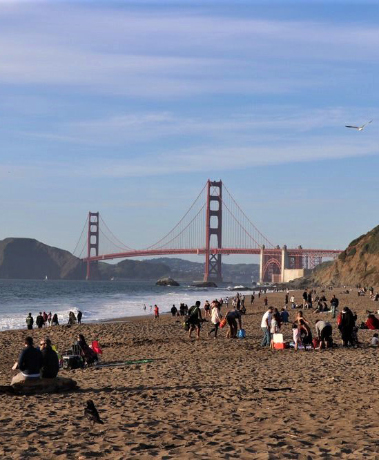 Best Picnic Spots in San Francisco