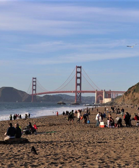 Best Picnic Spots in San Francisco