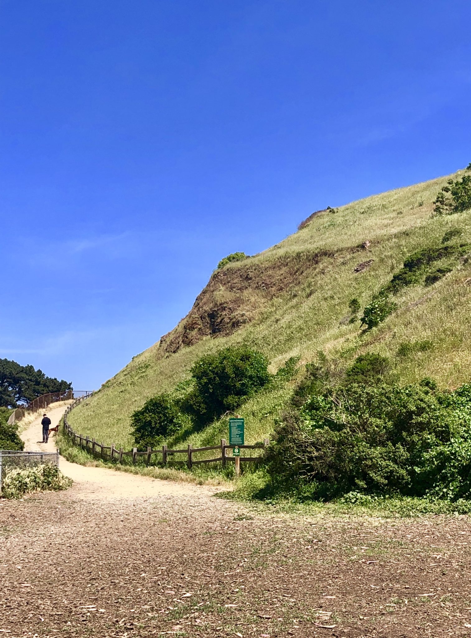 Best Picnic Spots in San Francisco