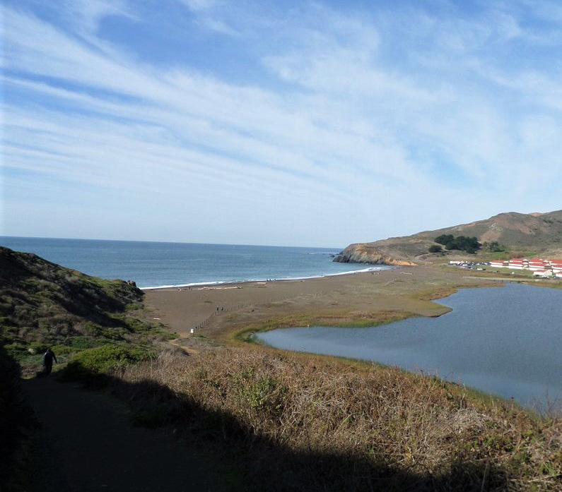 Best Picnic Spots in San Francisco