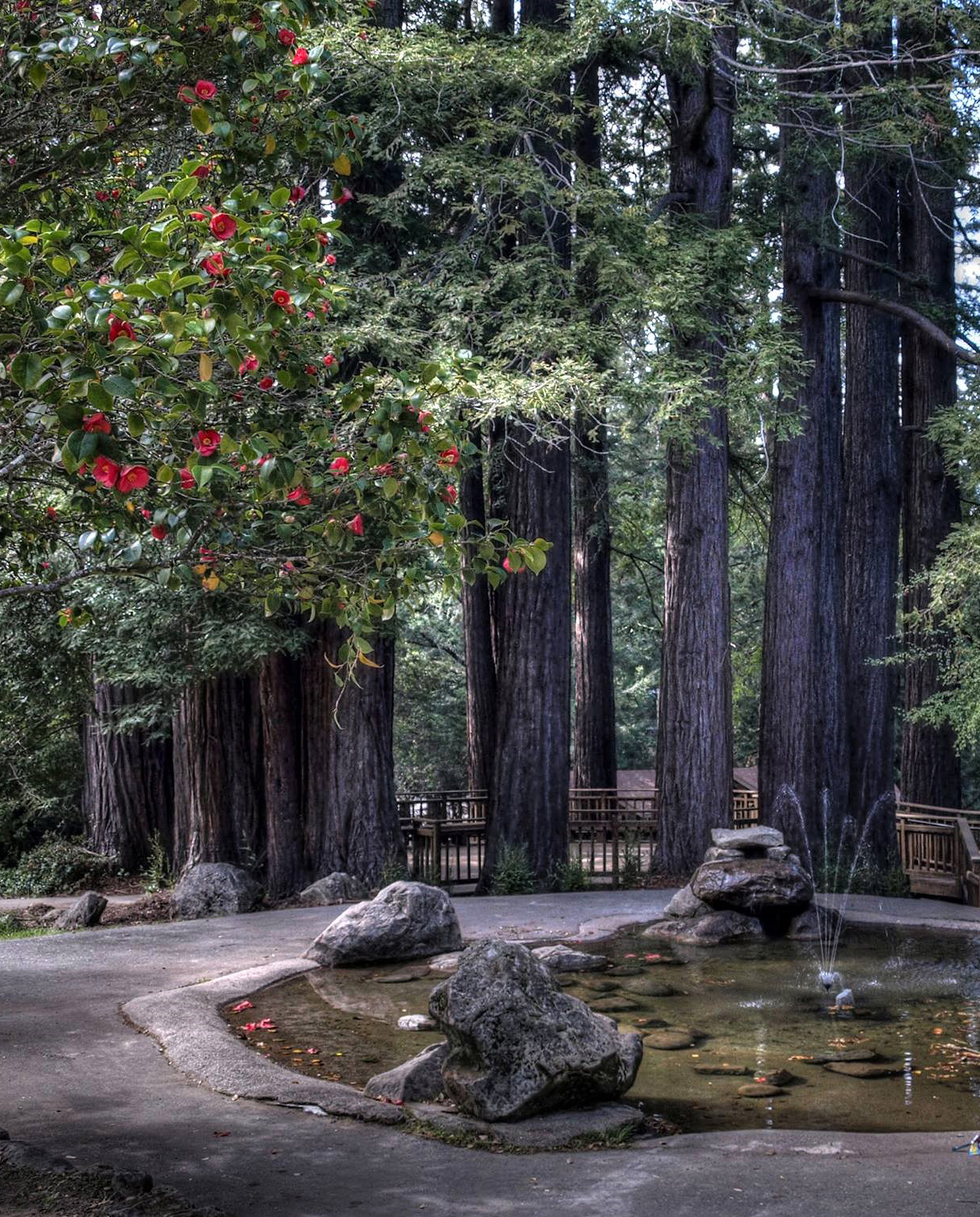 Best Picnic Spots in San Francisco