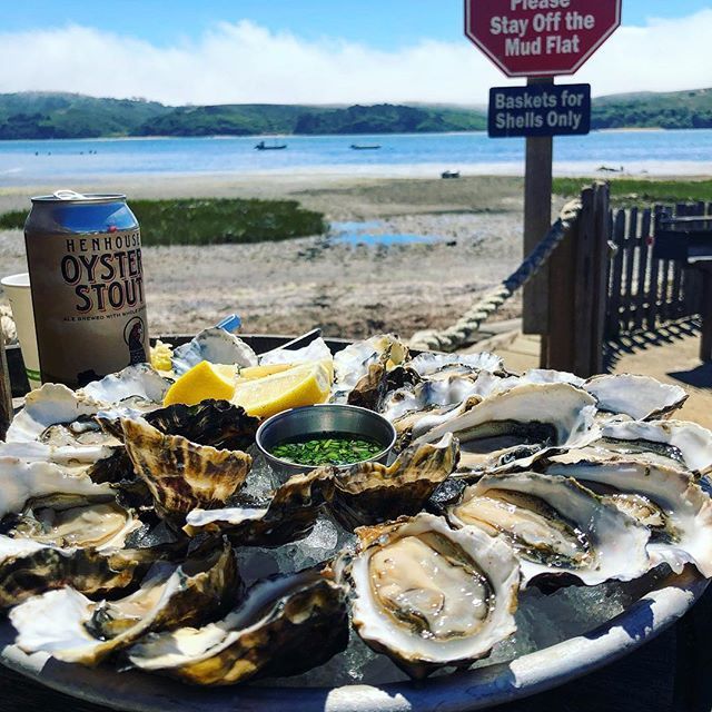 best oyster bars in san francisco best oyster bars in san francisco