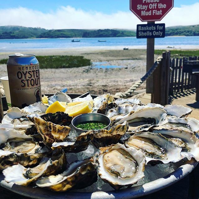 best oyster bars in san francisco
