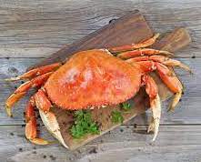 best oyster bars in san francisco best oyster bars in san francisco