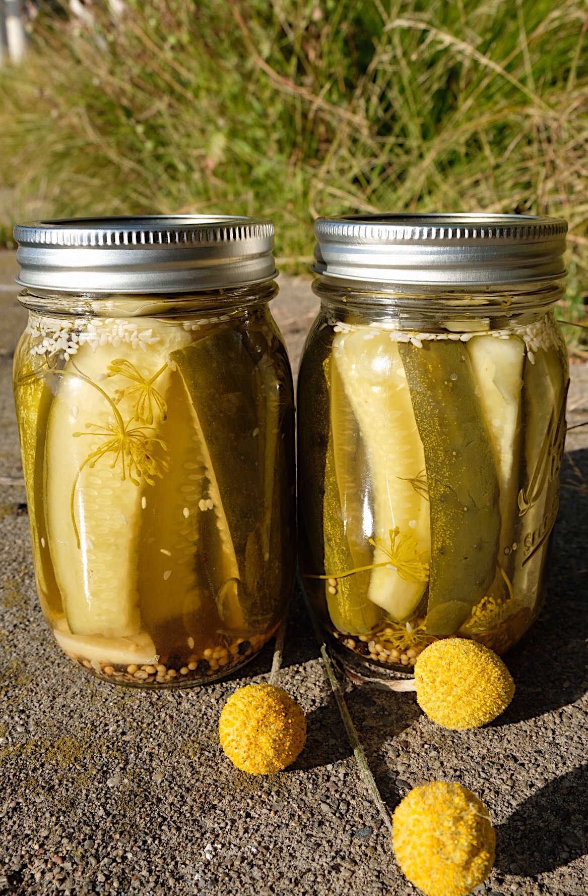 Canning Vegetables for Winter