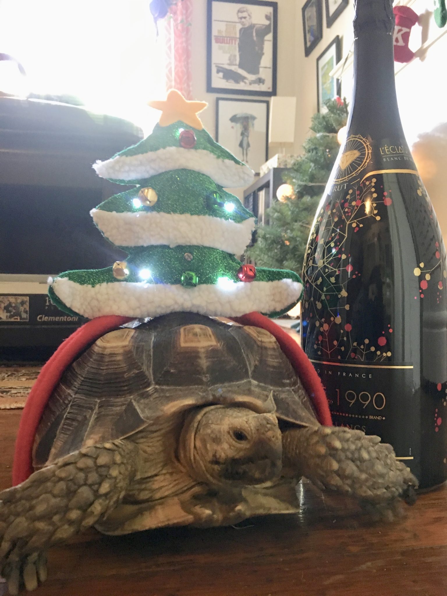 Holiday Office Party Ideas