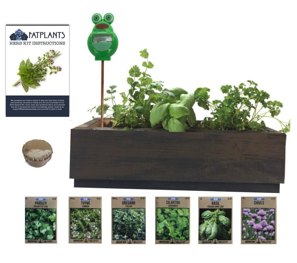 Gift an indoor herb garden to your foodie friend